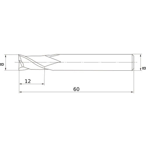 MS2SSD0800