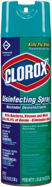 Disinfectant:  19 oz, Aerosol,  Disinfectant