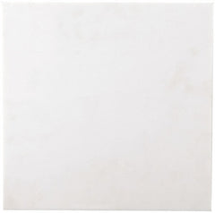 Plastic Sheet: PET, 1" Thick, 24" Wide, 2' Long, White