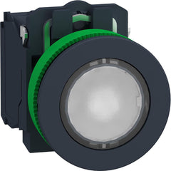 Pushbutton Switches; Mounting Hole Diameter (mm): 30.00; Switch Type: Push-Button Switches with Contact Blocks; Terminal Type: Screw Clamp; Amperage: 10; Voltage: 120V, 110V; Operator Illumination: Illuminated