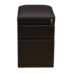 Mobile Pedestals File Cabinet: 2 Drawer, Steel, Black