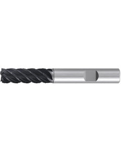 Square End Mill; 20 mm Dia. × 60 mm LOC × 20 mm Shank Dia. × 125 mm OAL ; 5 FL ; Carbide ; AlCr ; Series 2533L