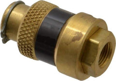 Coilhose Pneumatics - 1/8" Pipe, FNPT x FNPT, Brass Lockout Valve - 150 Max psi, Brass Sleeve - Benchmark Tooling