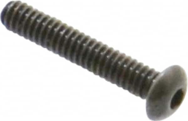 Value Collection - #2-56 UNC Hex Socket Drive, Button Screw - Alloy Steel, Black Oxide Finish, Fully Threaded, 1/2" Length Under Head - Benchmark Tooling