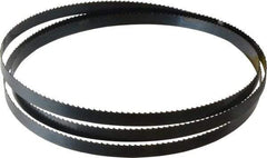 Starrett - 6 TPI, 6' 9" Long x 1/2" Wide x 0.025" Thick, Welded Band Saw Blade - Carbon Steel, Toothed Edge, Raker Tooth Set, Flexible Back, Contour Cutting - Benchmark Tooling