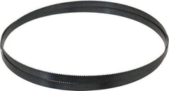 Starrett - 10 TPI, 8' Long x 1/2" Wide x 0.025" Thick, Welded Band Saw Blade - Carbon Steel, Toothed Edge, Raker Tooth Set, Flexible Back, Contour Cutting - Benchmark Tooling