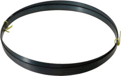 Starrett - 10 TPI, 10' Long x 3/4" Wide x 0.032" Thick, Welded Band Saw Blade - Carbon Steel, Toothed Edge, Raker Tooth Set, Flexible Back, Contour Cutting - Benchmark Tooling