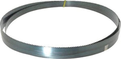 Starrett - 6 TPI, 10' Long x 3/4" Wide x 0.032" Thick, Welded Band Saw Blade - Carbon Steel, Toothed Edge, Raker Tooth Set, Flexible Back, Contour Cutting - Benchmark Tooling