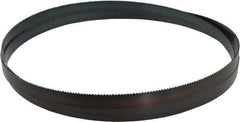 Starrett - 8 TPI, 10' Long x 3/4" Wide x 0.032" Thick, Welded Band Saw Blade - Carbon Steel, Toothed Edge, Raker Tooth Set, Flexible Back, Contour Cutting - Benchmark Tooling