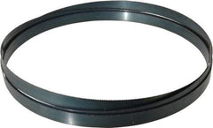 Starrett - 10/S TPI, 12' Long x 1" Wide x 0.035" Thick, Welded Band Saw Blade - Carbon Steel, Toothed Edge, Raker Tooth Set, Flexible Back, Contour Cutting - Benchmark Tooling