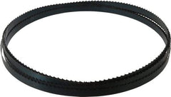 Starrett - 3 TPI, 19' 8" Long x 3/4" Wide x 0.032" Thick, Welded Band Saw Blade - Carbon Steel, Toothed Edge, Raker Tooth Set, Flexible Back, Contour Cutting - Benchmark Tooling