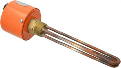 Value Collection - 2 Element, 9-1/4" Immersion Length, Standard Housing, Copper Pipe Plug Immersion Heater - 1 Phase, 120 Volt, 2,000 Watt, 60 Watts/Sq In, Brass Plug - Benchmark Tooling