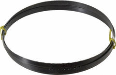 Starrett - 10 TPI, 8' 2-1/2" Long x 5/8" Wide x 0.032" Thick, Welded Band Saw Blade - Carbon Steel, Toothed Edge, Raker Tooth Set, Flexible Back, Contour Cutting - Benchmark Tooling