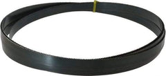 Starrett - 10 TPI, 14' 8" Long x 3/4" Wide x 0.032" Thick, Welded Band Saw Blade - Carbon Steel, Toothed Edge, Raker Tooth Set, Flexible Back, Contour Cutting - Benchmark Tooling