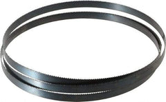 Starrett - 10 TPI, 6' 8" Long x 1/2" Wide x 0.025" Thick, Welded Band Saw Blade - Carbon Steel, Toothed Edge, Raker Tooth Set, Flexible Back, Contour Cutting - Benchmark Tooling