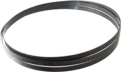 Starrett - 10 TPI, 7' 11" Long x 1/2" Wide x 0.025" Thick, Welded Band Saw Blade - Carbon Steel, Toothed Edge, Raker Tooth Set, Flexible Back, Contour Cutting - Benchmark Tooling