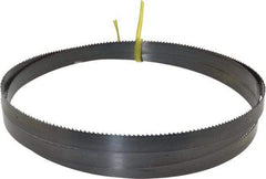 Starrett - 10 TPI, 5' 5" Long x 1/2" Wide x 0.025" Thick, Welded Band Saw Blade - Carbon Steel, Toothed Edge, Raker Tooth Set, Flexible Back, Contour Cutting - Benchmark Tooling