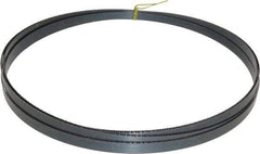 Starrett - 14 TPI, 14' 7" Long x 1/2" Wide x 0.025" Thick, Welded Band Saw Blade - Carbon Steel, Toothed Edge, Raker Tooth Set, Flexible Back, Contour Cutting - Benchmark Tooling
