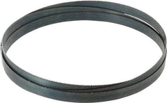 Starrett - 10 TPI, 8' 2" Long x 3/4" Wide x 0.032" Thick, Welded Band Saw Blade - Carbon Steel, Toothed Edge, Raker Tooth Set, Flexible Back, Contour Cutting - Benchmark Tooling