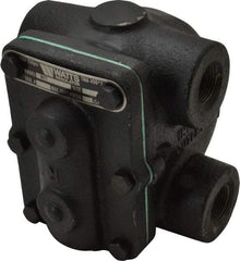 Watts - 4 Port, 3/4" Pipe, Cast Iron Float & Thermostatic Steam Trap - 15 Max psi - Benchmark Tooling