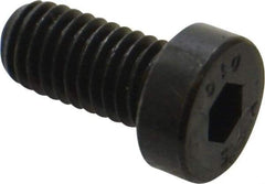 Value Collection - M8x1.25 Metric Coarse Hex Socket Drive, Low Socket Cap Screw - Grade 10.9 Alloy Steel, Black Oxide Finish, Fully Threaded, 16mm Length Under Head - Benchmark Tooling