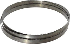 Disston - 6 TPI, 7' 9" Long x 3/4" Wide x 0.032" Thick, Welded Band Saw Blade - Carbon Steel, Toothed Edge, Raker Tooth Set, Flexible Back, Contour Cutting - Benchmark Tooling
