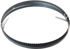 Disston - 4 TPI, 7' 9-1/2" Long x 1/2" Wide x 0.025" Thick, Welded Band Saw Blade - Carbon Steel, Toothed Edge, Raker Tooth Set, Flexible Back, Contour Cutting - Benchmark Tooling