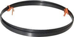Disston - 10 TPI, 7' 9-1/2" Long x 1/2" Wide x 0.025" Thick, Welded Band Saw Blade - Carbon Steel, Toothed Edge, Raker Tooth Set, Flexible Back, Contour Cutting - Benchmark Tooling