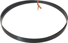 Disston - 14 TPI, 8' Long x 1/2" Wide x 0.025" Thick, Welded Band Saw Blade - Carbon Steel, Toothed Edge, Raker Tooth Set, Flexible Back, Contour Cutting - Benchmark Tooling