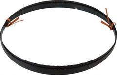 Disston - 10 TPI, 8' 9" Long x 1/2" Wide x 0.025" Thick, Welded Band Saw Blade - Carbon Steel, Toothed Edge, Raker Tooth Set, Flexible Back, Contour Cutting - Benchmark Tooling