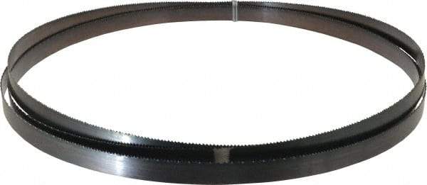 Disston - 10 TPI, 11' 6" Long x 3/4" Wide x 0.032" Thick, Welded Band Saw Blade - Carbon Steel, Toothed Edge, Raker Tooth Set, Flexible Back, Contour Cutting - Benchmark Tooling