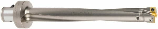 Komet - 11.3mm Diam, KUB Centron Carbide Pilot Drill Insert - Style V96, TiCN/TiN Coated - Benchmark Tooling