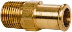 Parker - 1/2 NPT Thread Hose Barb x Male NPT Connector - 3/4" ID Hose, Brass - Benchmark Tooling