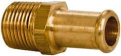 Parker - 3/8 NPT Thread Hose Barb x Male NPT Connector - 1/2" ID Hose, Brass - Benchmark Tooling