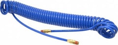 Coilhose Pneumatics - 1/4" ID, 1/4 Thread, 30' Long, Blue Polyurethane Coiled & Self Storing Hose - 125 Max psi, Male Swivel x Male Swivel - Benchmark Tooling