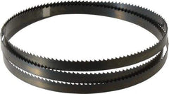 Disston - 6 TPI, 5' 4-1/2" Long x 1/2" Wide x 0.025" Thick, Welded Band Saw Blade - Carbon Steel, Toothed Edge, Raker Tooth Set, Hard Back, Contour Cutting - Benchmark Tooling