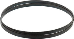 Disston - 14 TPI, 7' 9" Long x 1/2" Wide x 0.025" Thick, Welded Band Saw Blade - Carbon Steel, Toothed Edge, Raker Tooth Set, Hard Back, Contour Cutting - Benchmark Tooling