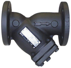 Legend Valve - 2" Pipe, Flanged Ends, Cast Iron Y-Strainer - 200 psi WOG Rating, 150 psi WSP Rating - Benchmark Tooling