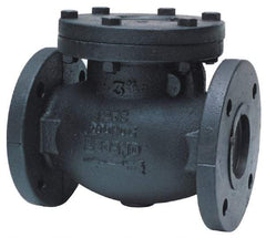 Legend Valve - 2-1/2" Cast Iron Check Valve - Inline, Flanged - Benchmark Tooling