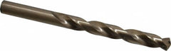 Triumph Twist Drill - 31/64" 135° Cobalt Jobber Drill - Oxide/Gold Finish, Right Hand Cut, Spiral Flute, Straight Shank, 5-7/8" OAL, Split Point - Benchmark Tooling