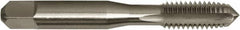 Made in USA - 1/4-20 UNC 3B 4 Flute TiN Finish High Speed Steel Straight Flute Standard Hand Tap - Plug, Right Hand Thread, 2-1/2" OAL, 1" Thread Length, H3 Limit, Oversize - Exact Industrial Supply
