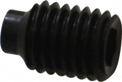 Value Collection - 1/4-28 UNF, 3/8" OAL, Half Dog Point Set Screw - Grade 8 Alloy Steel, 1/8" Key - Benchmark Tooling