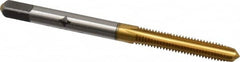 Cleveland - #8-36 UNF 2B/3B 4 Flute TiN Finish High Speed Steel Straight Flute Standard Hand Tap - Plug, Right Hand Thread, 2-1/8" OAL, 3/4" Thread Length, H2 Limit, Oversize - Exact Industrial Supply