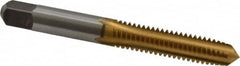 Cleveland - 5/16-18 UNC 3B 4 Flute TiN Finish High Speed Steel Straight Flute Standard Hand Tap - Plug, Right Hand Thread, 2-23/32" OAL, 1-1/8" Thread Length, H3 Limit, Oversize - Exact Industrial Supply