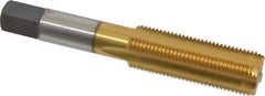 Cleveland - 5/8-18 UNF 3B 4 Flute TiN Finish High Speed Steel Straight Flute Standard Hand Tap - Bottoming, Right Hand Thread, 3-13/16" OAL, 1-13/16" Thread Length, H3 Limit, Oversize - Exact Industrial Supply