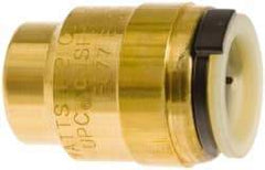 Watts - 1/2" Outside Diam, Lead Free Brass Push-to-Connect Tube End Stop - 250 Max psi, Tube to Tube Connection, EPDM O-Ring, Lead-Free - Benchmark Tooling