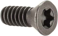 Made in USA - Torx Cap Screw for Indexables - #6-32 Thread, Industry Std SE-02-04, For Use with Inserts - Benchmark Tooling