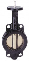 Apollo - 12" Pipe, Lug Butterfly Valve - Bare Stem Handle, Cast Iron Body, Buna-N Seat, 200 WOG, PTFE Disc, Stainless Steel Stem - Benchmark Tooling