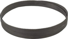 Irwin Blades - 10 to 14 TPI, 5' 4" Long x 1/2" Wide x 0.025" Thick, Welded Band Saw Blade - Bi-Metal, Toothed Edge - Benchmark Tooling