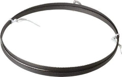 Irwin Blades - 10 to 14 TPI, 6' 10" Long x 3/8" Wide x 0.025" Thick, Welded Band Saw Blade - Bi-Metal, Toothed Edge - Benchmark Tooling